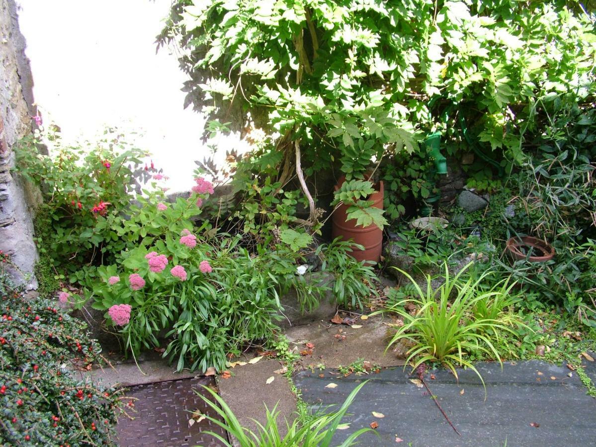 Geranium Cottage, 洛斯特威西尔 外观 照片